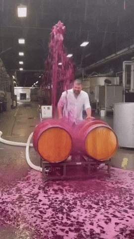 Week-End Vin GIF by systaime