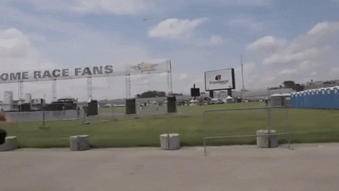 big cat pft GIF by Barstool Sports