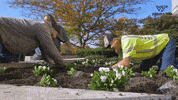 VTFacilities flowers planting vt facilities cpif GIF