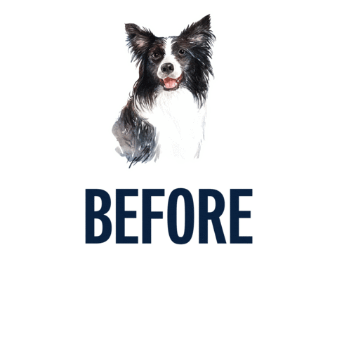 Before And After Dogs Sticker by puppytales