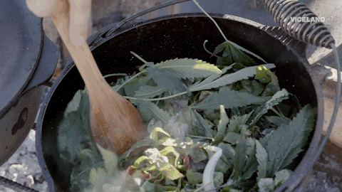 weed GIF by Bong Appétit