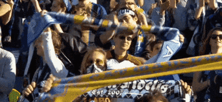 fans scarves GIF by Philadelphia Union