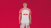 Football What GIF by RB Leipzig
