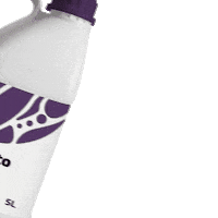vitalesbr gratto vitales vitales br gratto frugi Sticker