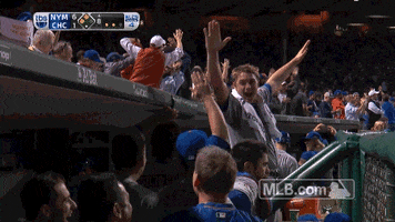 dugout reed GIF by MLB