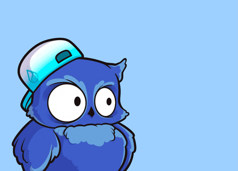 Owl What GIF by BigBrains