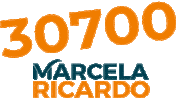 Vereador Partido Novo Sticker by Marcela Ricardo