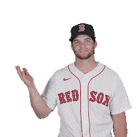 Red Sox Baseball Sticker by Boston Red Sox