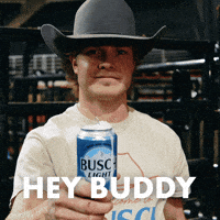 Busch Light Hey Buddy GIF by Busch Beer