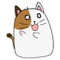 Surprised Cat Sticker