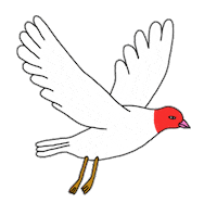 hi_webad bird webad hiwebad Sticker