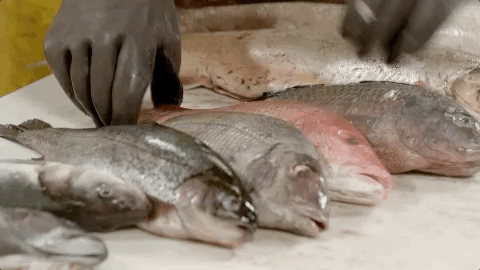 amy sedaris ah102 GIF by truTV’s At Home with Amy Sedaris