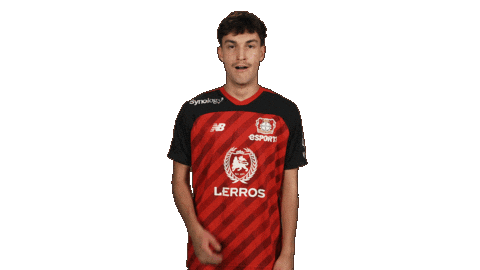 Bayer Leverkusen Esports Sticker by Bundesliga
