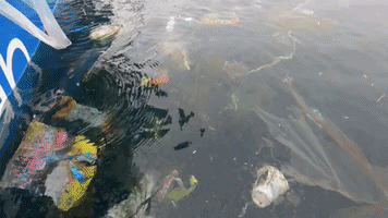4Ocean