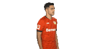 Posing Bayer 04 Sticker by Bundesliga