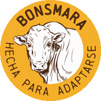 Campo Toro Sticker by Bonsmara Argentina