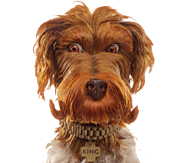 Isle Of Dogs King Sticker by Searchlight Pictures