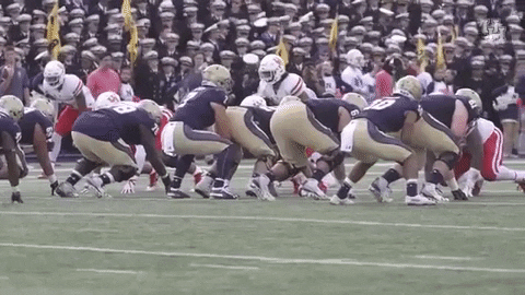 university of houston tackle GIF by Coogfans