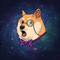 To The Moon Wow GIF by Doge Pound
