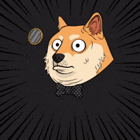 Shiba Inu Wow GIF by Doge Pound