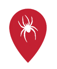 Spiderpride Urichmond Sticker by University of Richmond