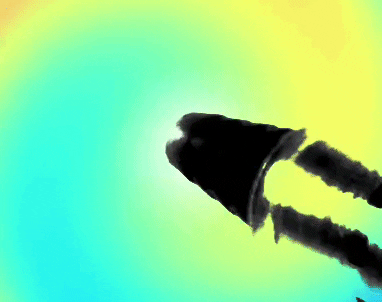 LOCAFANTASY loca locafantasy locastar GIF