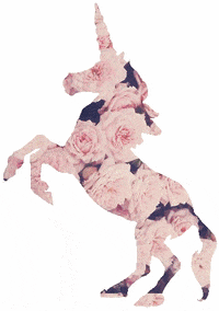 unicorn GIF
