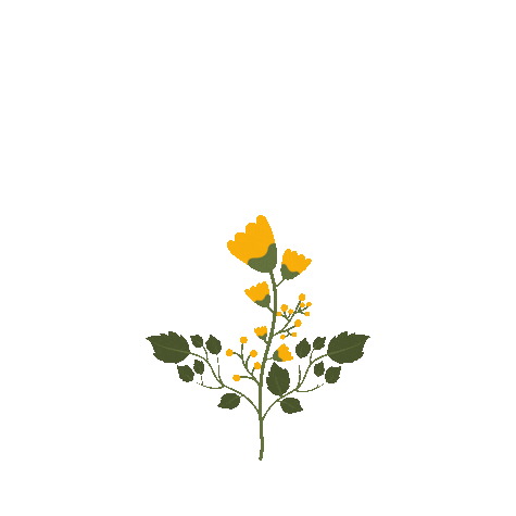 flower Sticker by Grounding Light