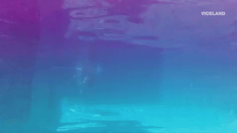 mermaid GIF by MOST EXPENSIVEST