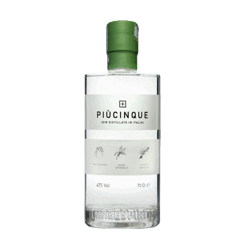 PiuCinque giphyupload gin piùcinque Sticker