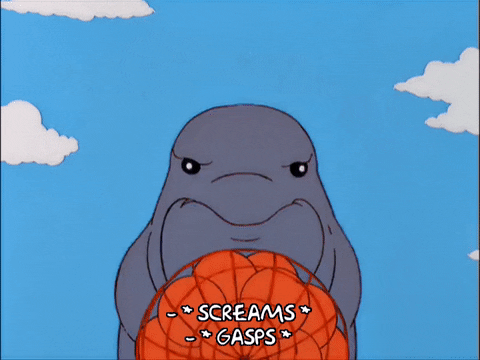 episode 1 dolphin GIF