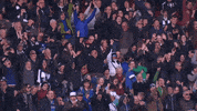 BristolBears happy sport celebration excited GIF