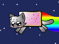 Cat Animation GIF by Ocelot