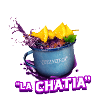 Quezaltecagt Sticker by Quezalteca Oficial