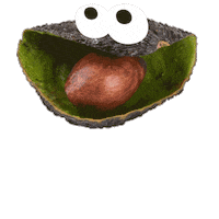 Avocado Compost Sticker by metrovancouverbc