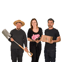 Daumen Hoch Thumbs Up Sticker by Starkl Gartencenter