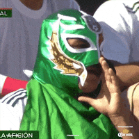 Vamos El Tri GIF by La Suerte No Juega