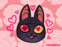 alexboakeillo love cat roli love react GIF