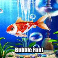 Koi Fish Bubbles GIF by TheConfishius