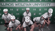 Tgoe Iwutitans GIF by iwusports