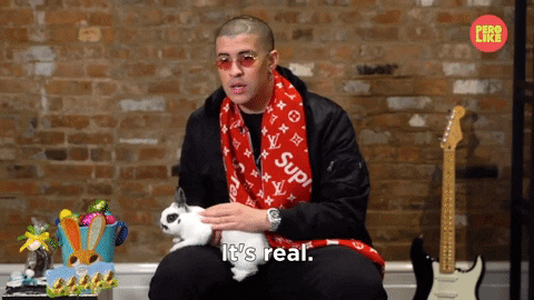 Bad Bunny GIF by BuzzFeed