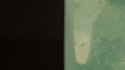 cool science GIF by Diply