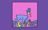 music video lol GIF by Evan M Cohen