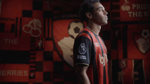 Premier League GIF by AFC Bournemouth