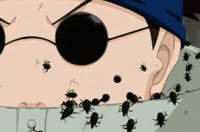 Shino Aburame Insects GIF