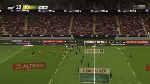 trs_02 giphyupload GIF