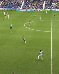 West Brom Football GIF by West Bromwich Albion