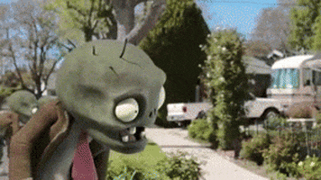 morning GIF