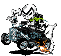 MetroGroupMiami car miami skull fast Sticker