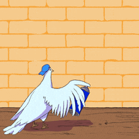 Israel Palestine GIF by GIF Peace a Chance